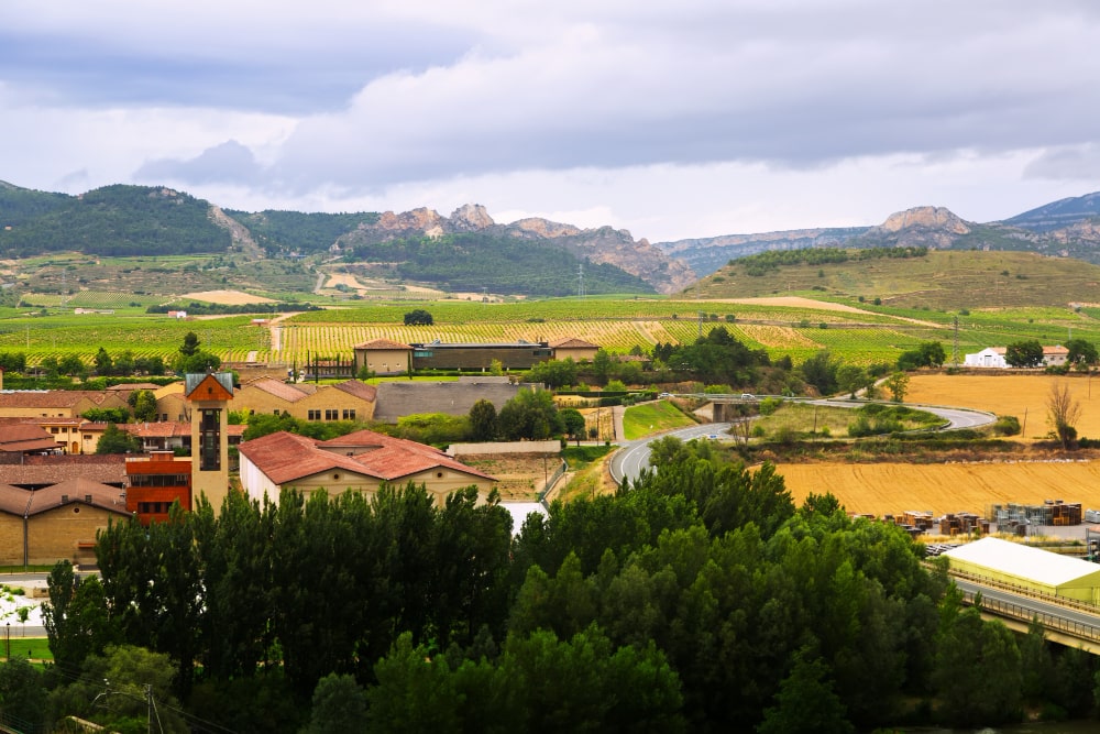 Vineyard landscape featured on the park’s original website